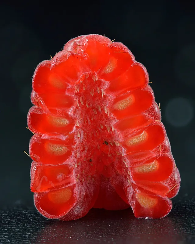 Himbeere (Rubus idaeus)