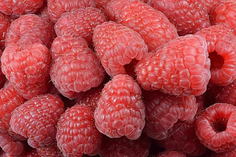 Himbeere (Rubus idaeus)