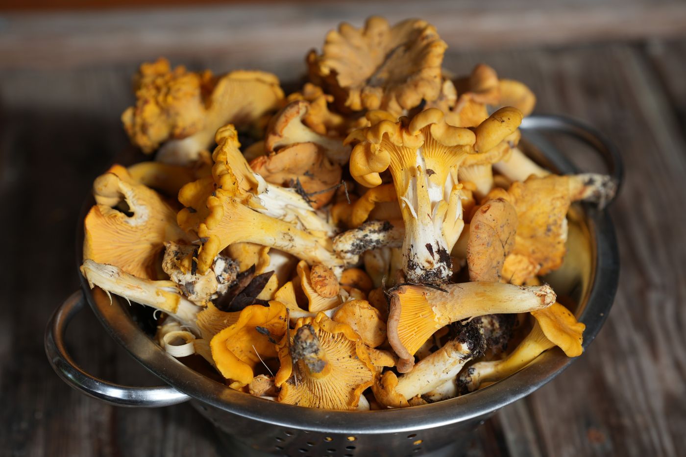 Fried Chanterelles
