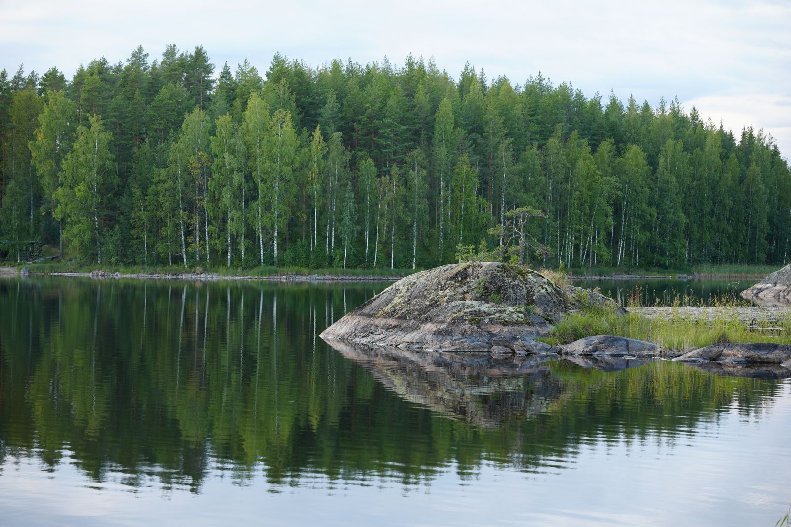 Bloggbilde