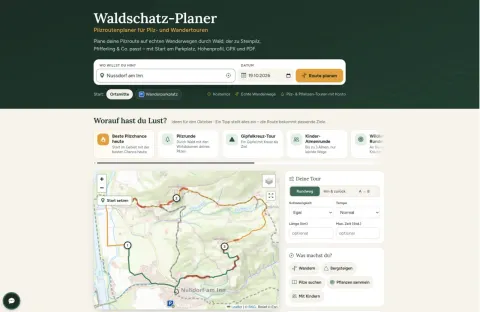 Der Waldschatz-Planer plant jetzt echte Wandertouren – durch Wald, der zu deinem Pilz passt