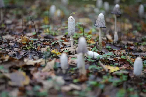 Fotografie ke kroku 1
