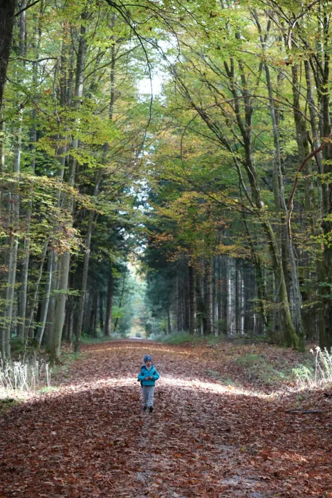 Zu zweit im Wald bei Straßlach: Maronen, Moos und viele Fotomotive