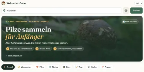 Pilze sammeln für Anfänger: Unser neuer Einsteigerbereich mit Pilz-Ampel