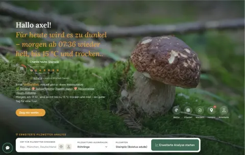 Neue Startseite: aufgeräumt, mit Überblick – und persönlich für dich