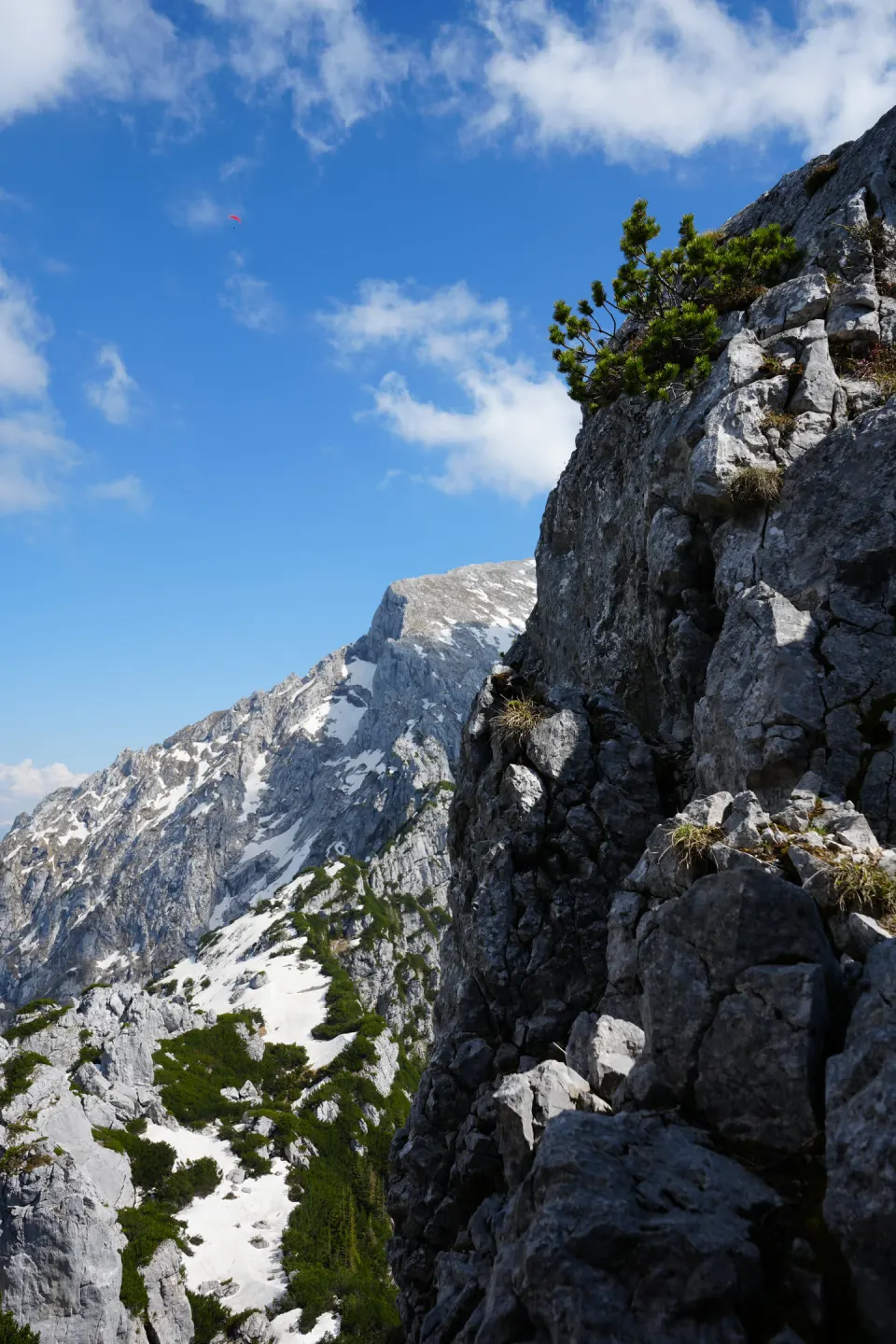 Senkrechte Felswand mit Kiefer
