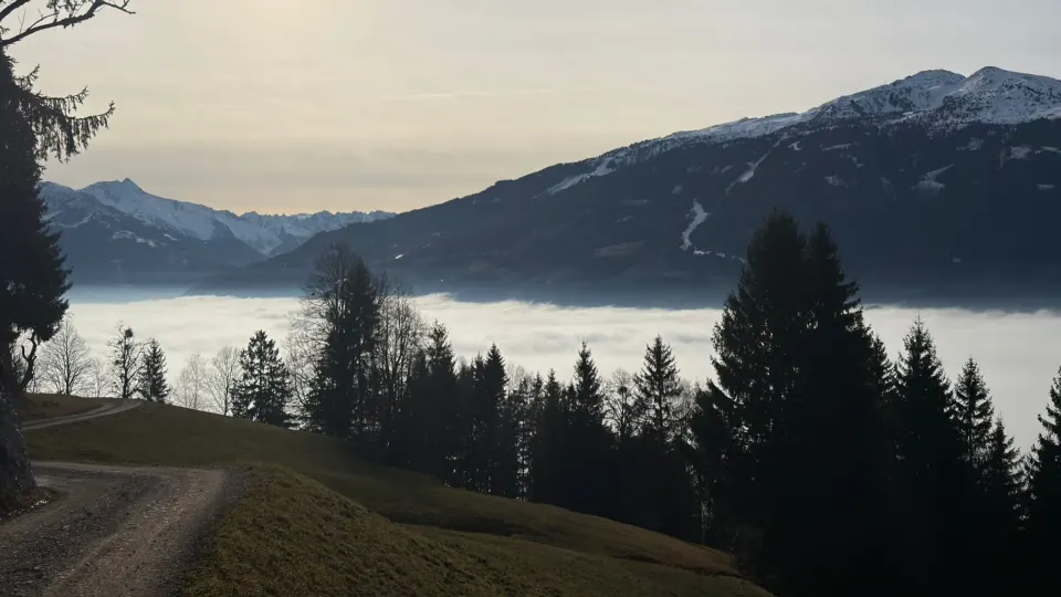 Almweg über dem Nebel im Tal