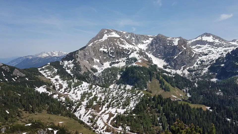 Verschneite Gipfel über einer Bergwiese