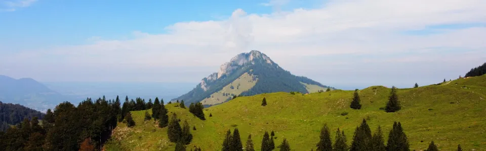 Bergwiese mit Blick auf einen spitzen Gipfel