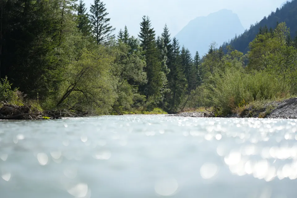 Gebirgsfluss mit glitzerndem Wasser vor Nadelwald