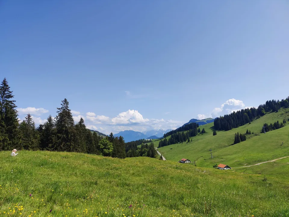 Weite Almlandschaft mit Wald und Bergen