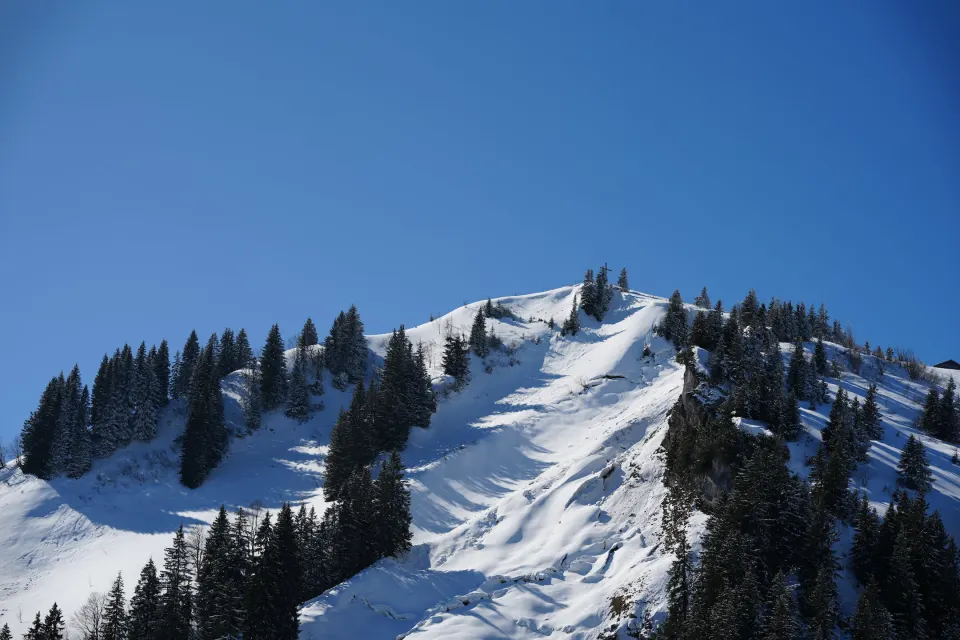 Verschneiter Grat mit Fichten unter blauem Himmel
