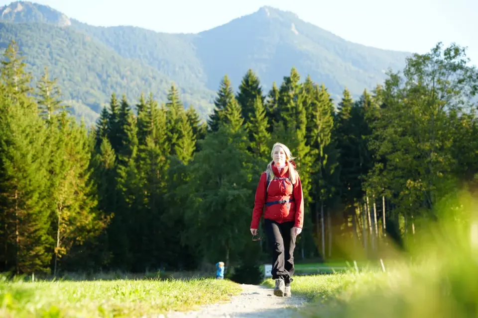 Wanderung im Herbstwald, Berge im Hintergrund