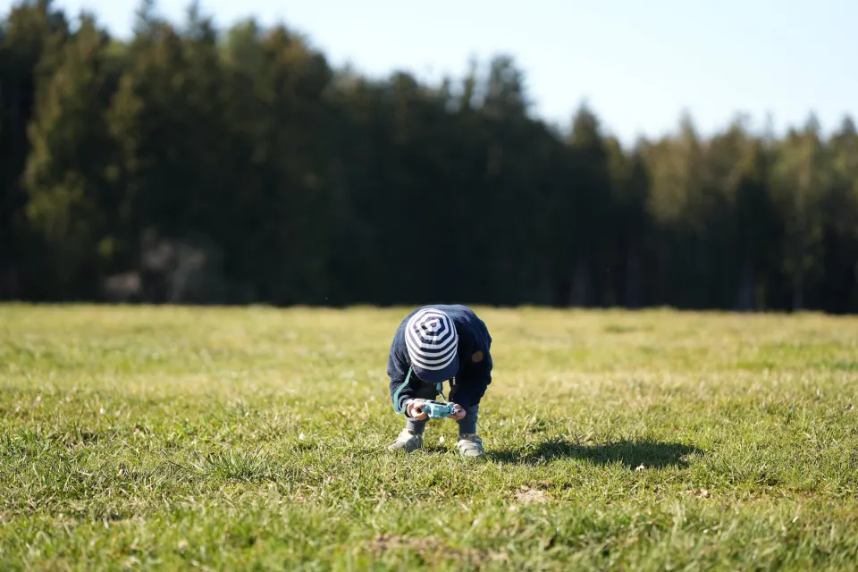 Der Kleine fotografiert eine Blume auf der Wiese